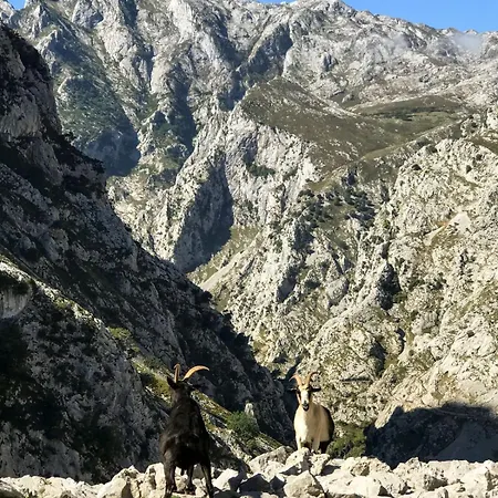 Casa Rio Zardon Вилла